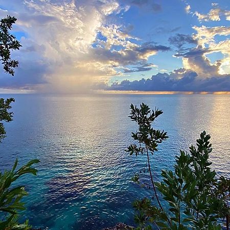 Oceanfront Condo W/ Free Parking + High Speed Wifi Νεγκρίλ Εξωτερικό φωτογραφία