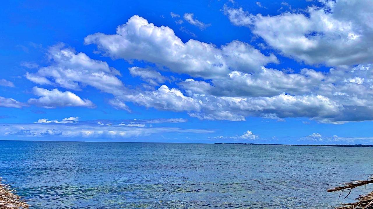 Oceanfront Condo W/ Free Parking + High Speed Wifi Νεγκρίλ Εξωτερικό φωτογραφία